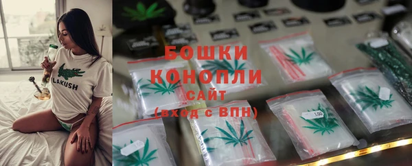 молекула духа Майский