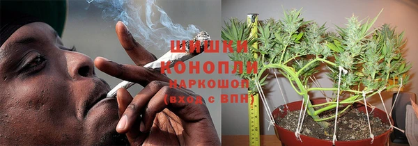 молекула духа Майский