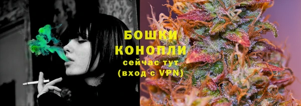 молекула духа Майский